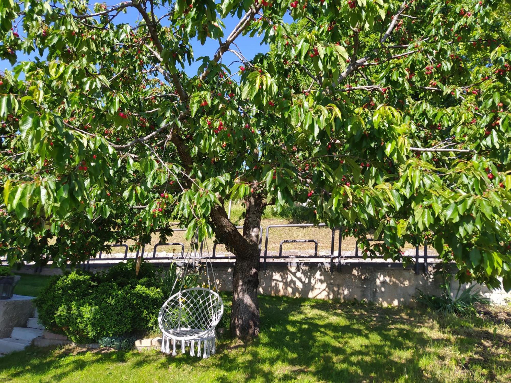 Апартаменты Casa Zucol Sarnonico Экстерьер фото